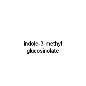 indole-3-methyl glucosinolate